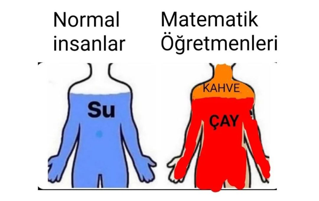 Alper Nesimi USTA